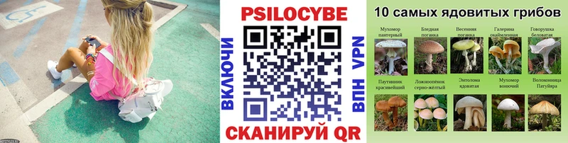 Галлюциногенные грибы MAGIC MUSHROOMS  мега ССЫЛКА  Отрадный 