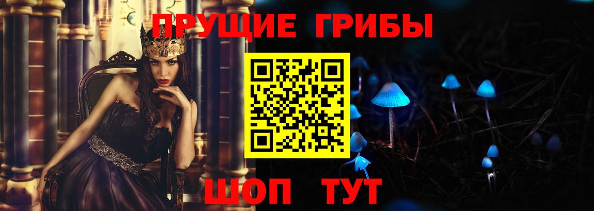 Отрадный  Псилоцибиновые грибы Cubensis  Вход с VPN 